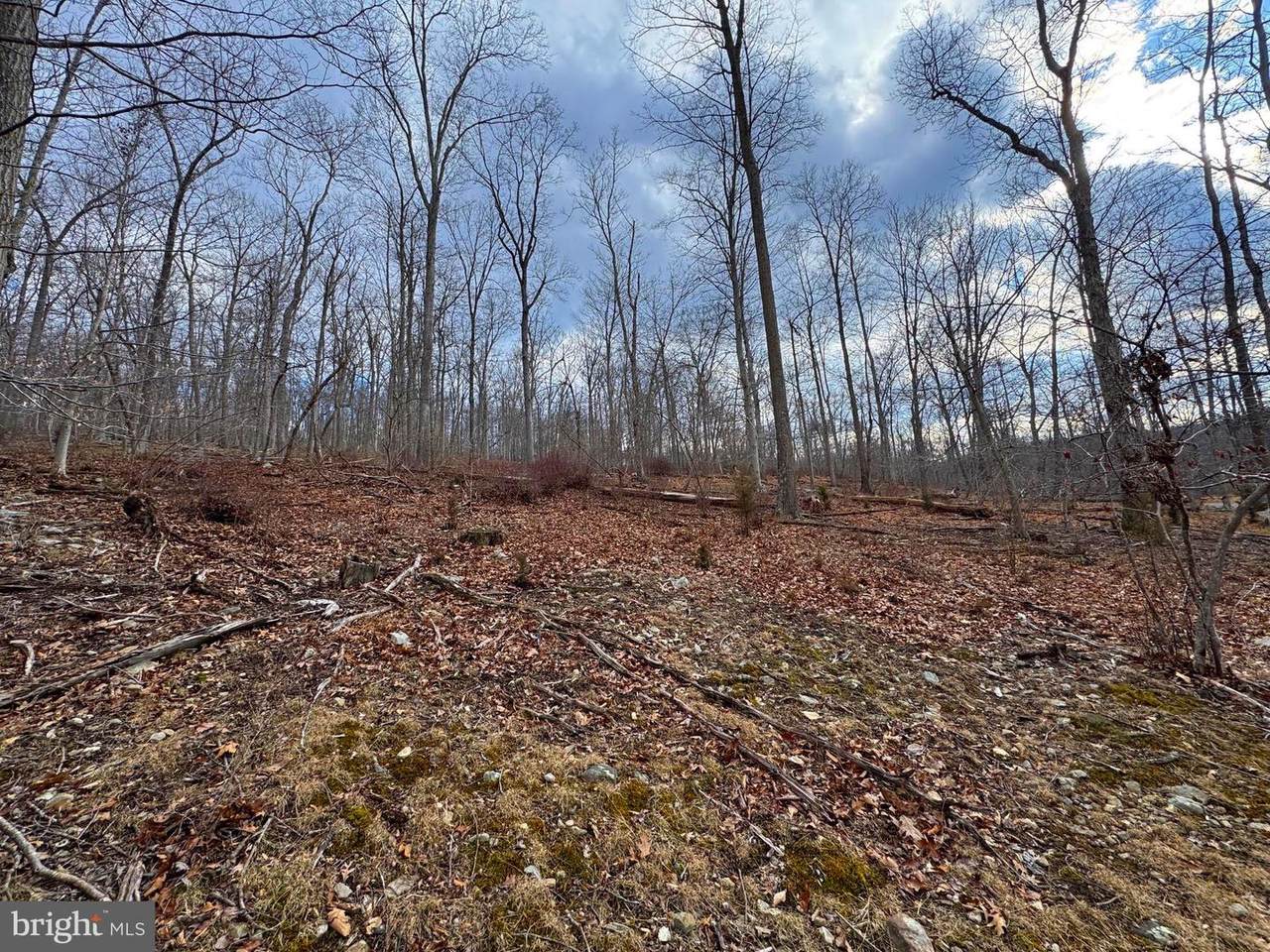  Frog Hollow Road - Photo 1