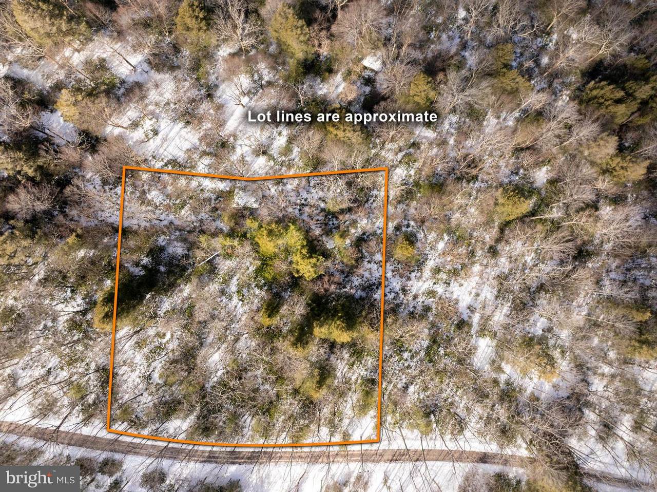 233 Rhododendron Drive - Photo 1