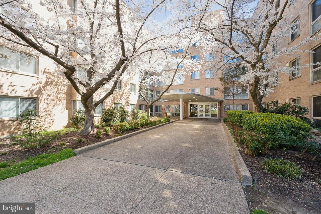 6445 Luzon Avenue - Photo 1