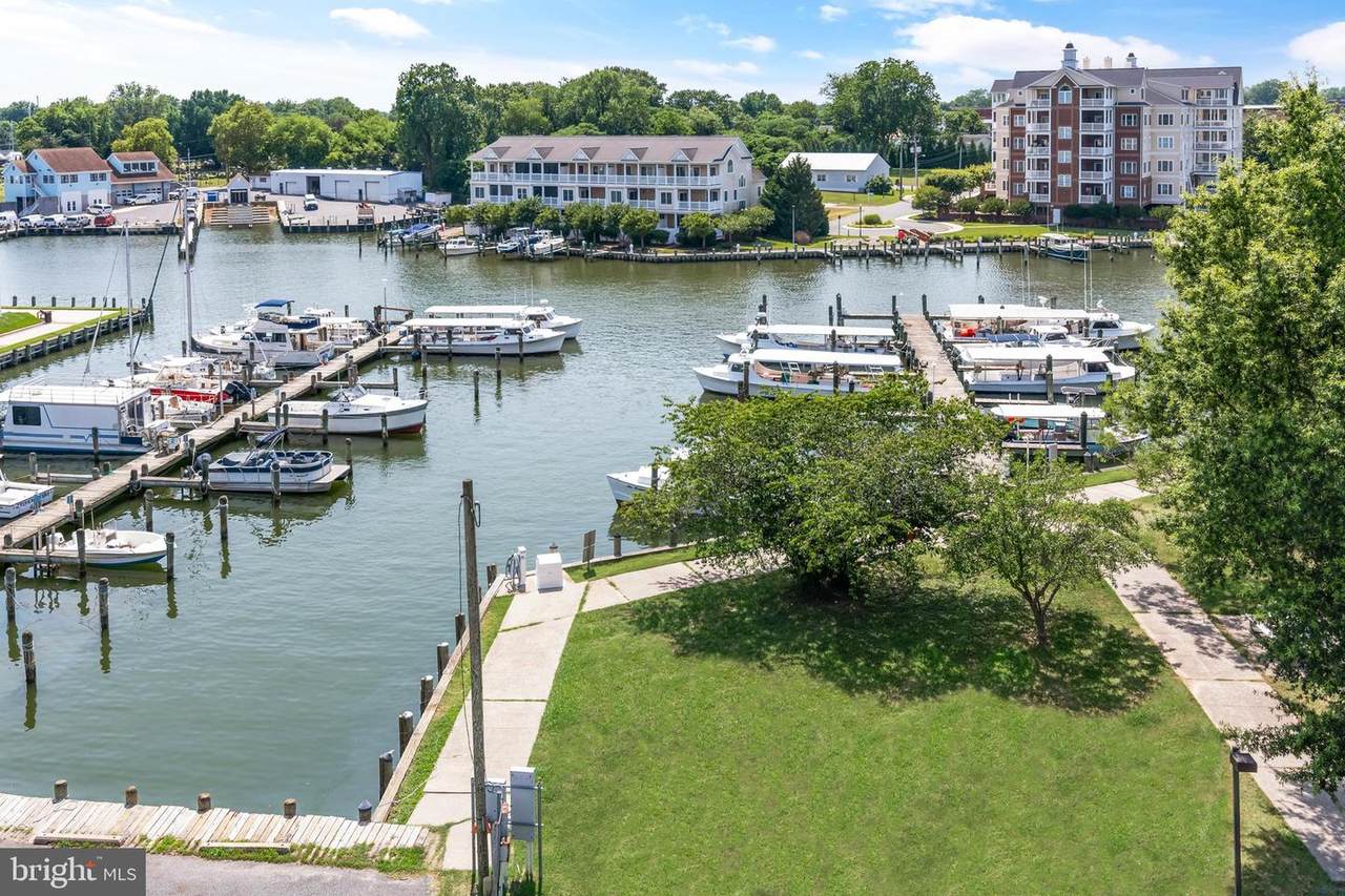 700 Cattail Cove - Photo 1