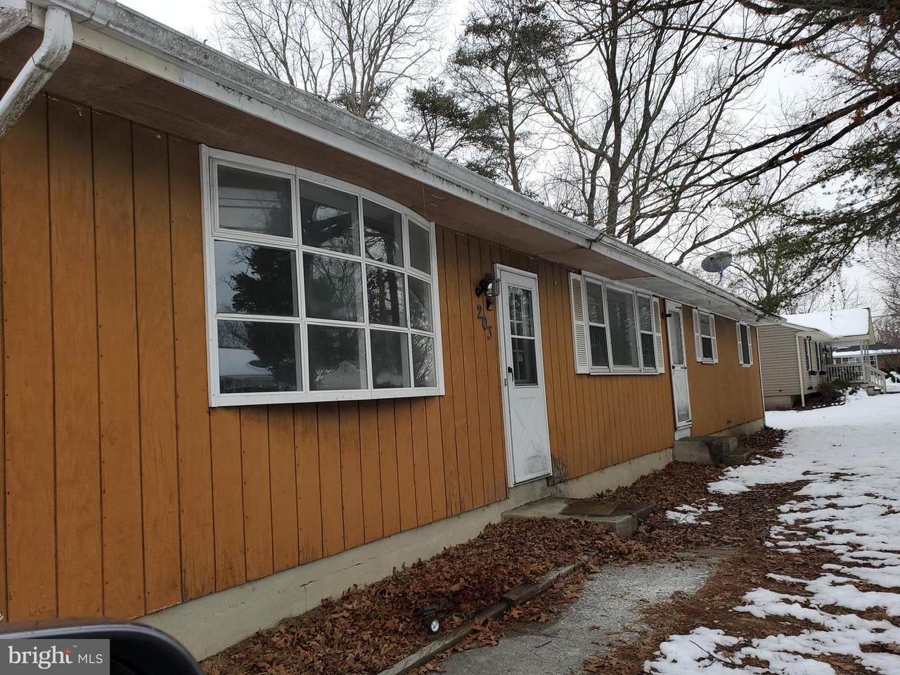 203 Chestnut Avenue - Photo 1