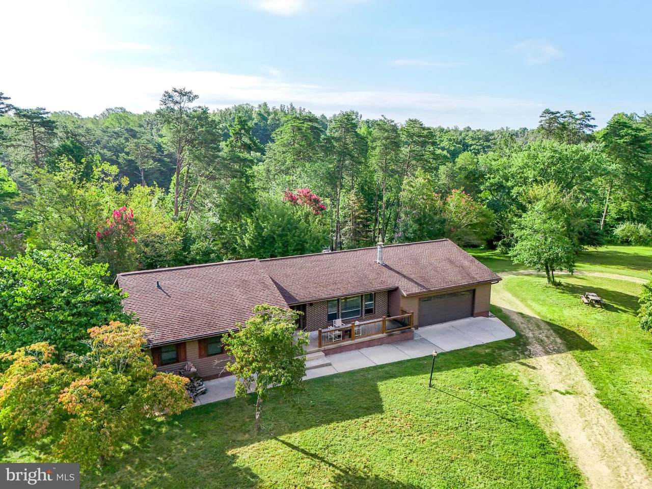 3807 Bear Tree Lane - Photo 1
