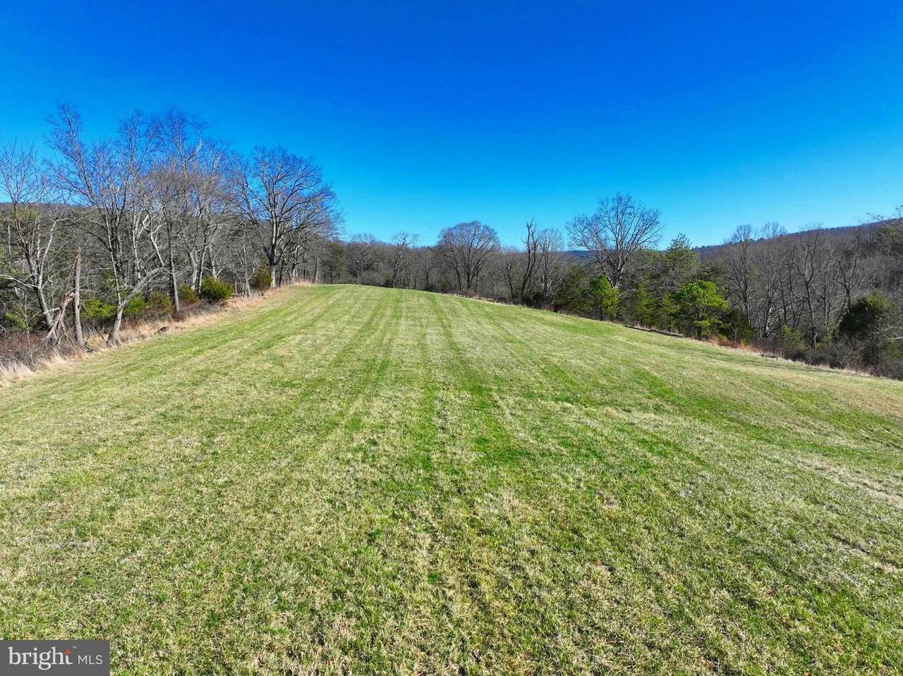 98.43 AC Parker Hollow Road - Photo 1