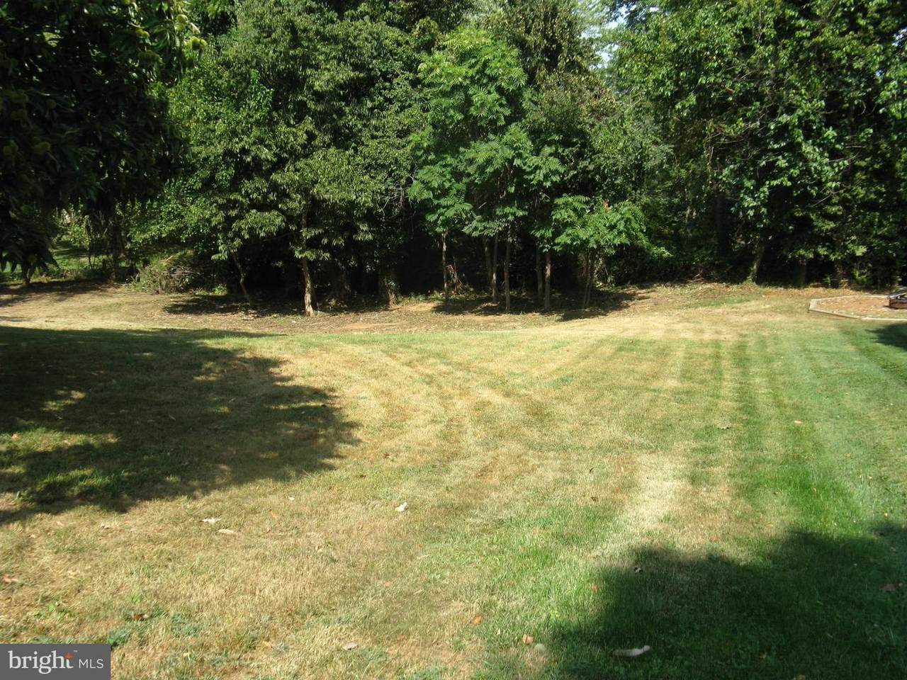 LOT 1C Harmon Lodge - Photo 1