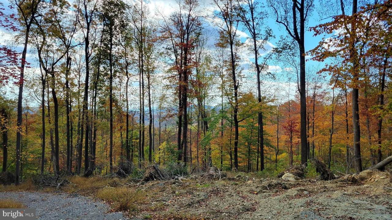 4460 Middlepoint Road - Photo 1