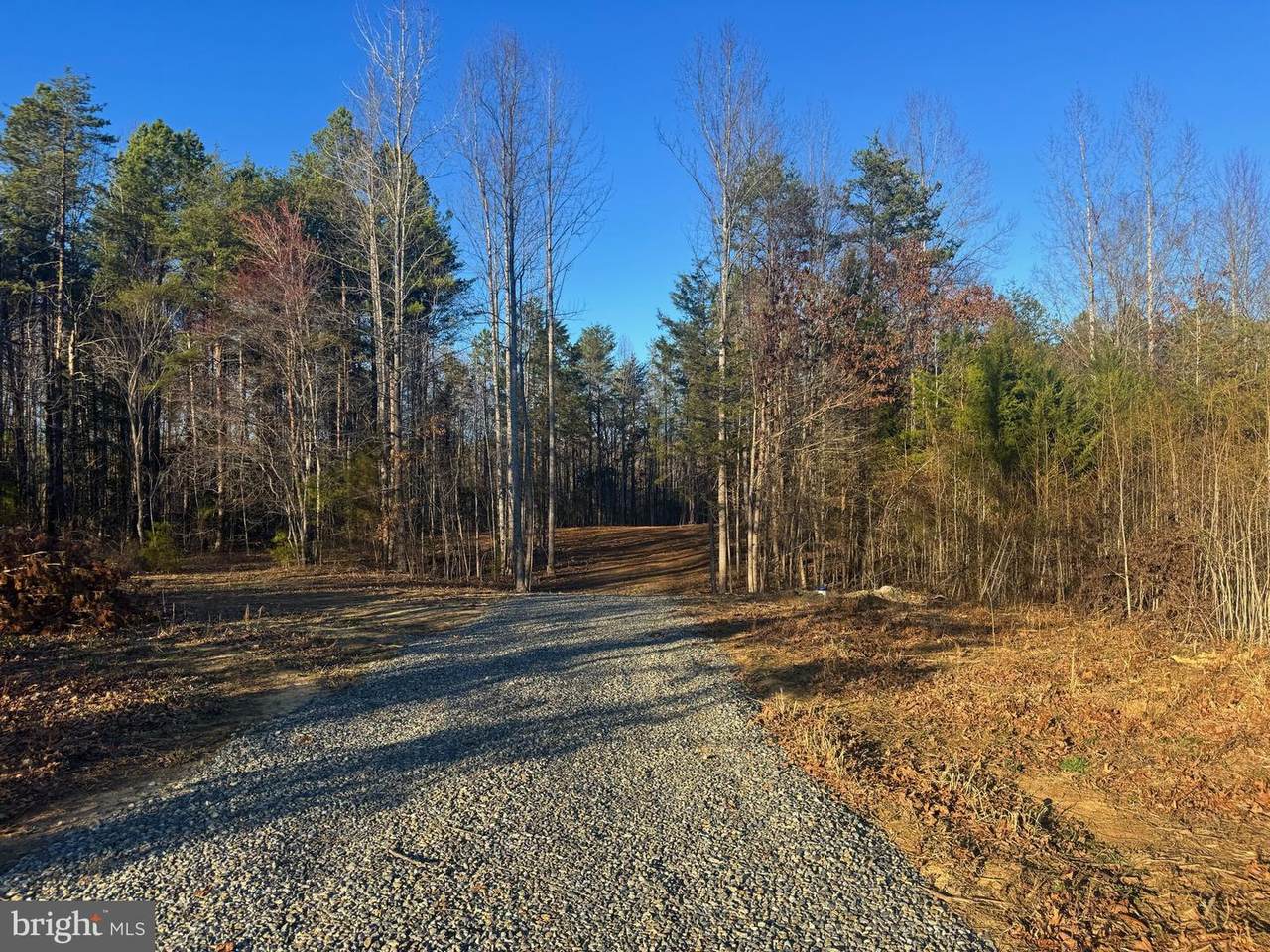 541 Equestrian Landing Trail - Photo 1