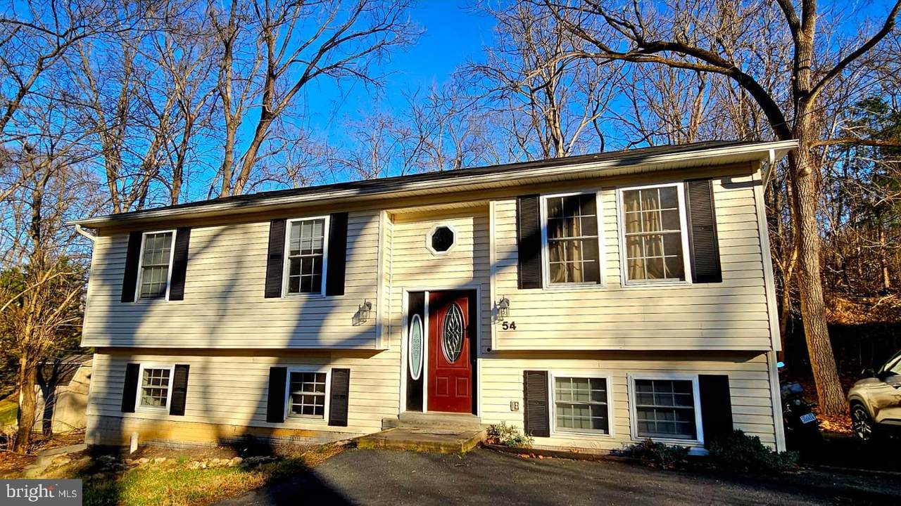 54 Magnolia Drive - Photo 1