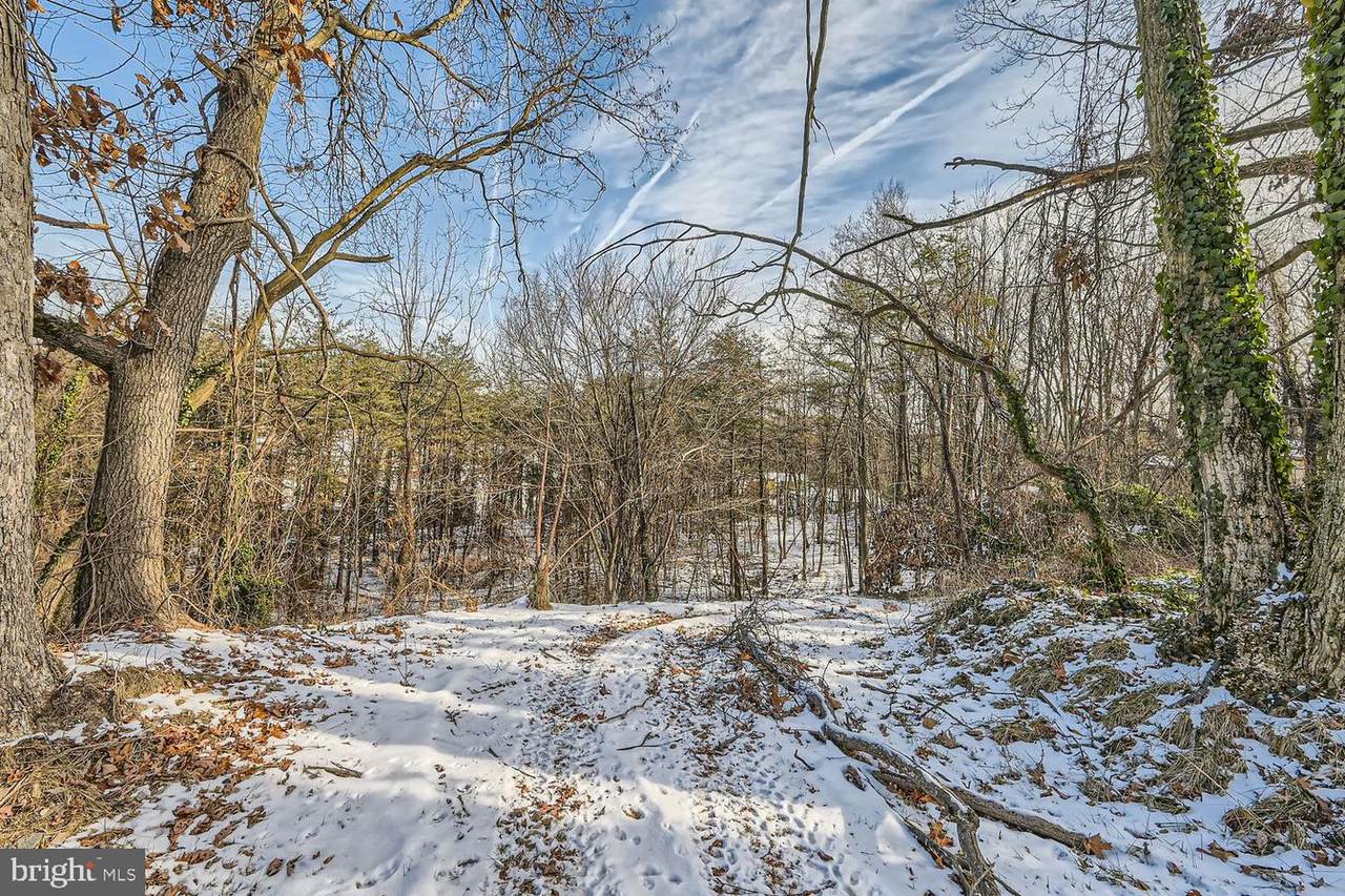  Sumter Avenue - Photo 1
