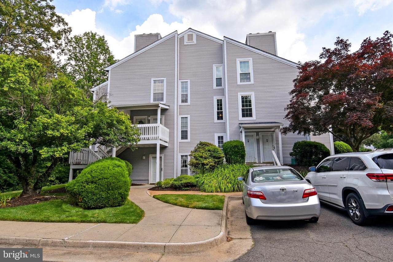 12040 Cardamom Drive - Photo 1