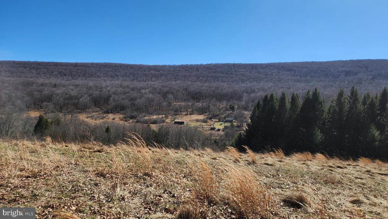 584 Old Wilson Road - Photo 1