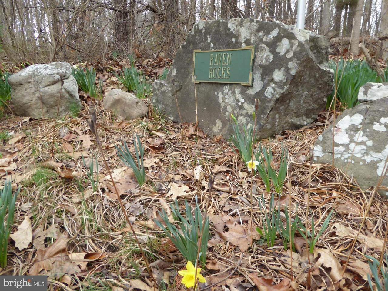 LOT 13 Fawn Drive - Photo 1