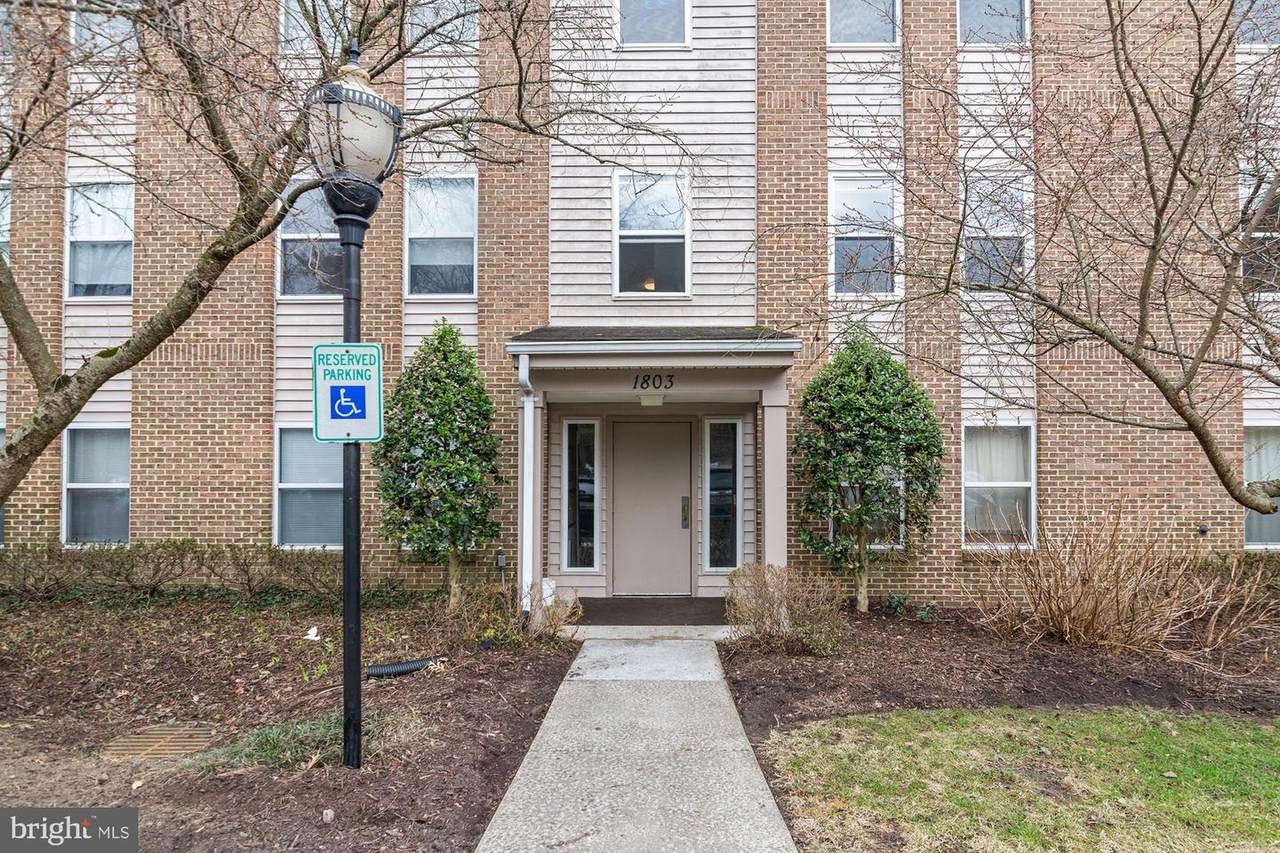 1803 Snow Meadow Lane - Photo 1