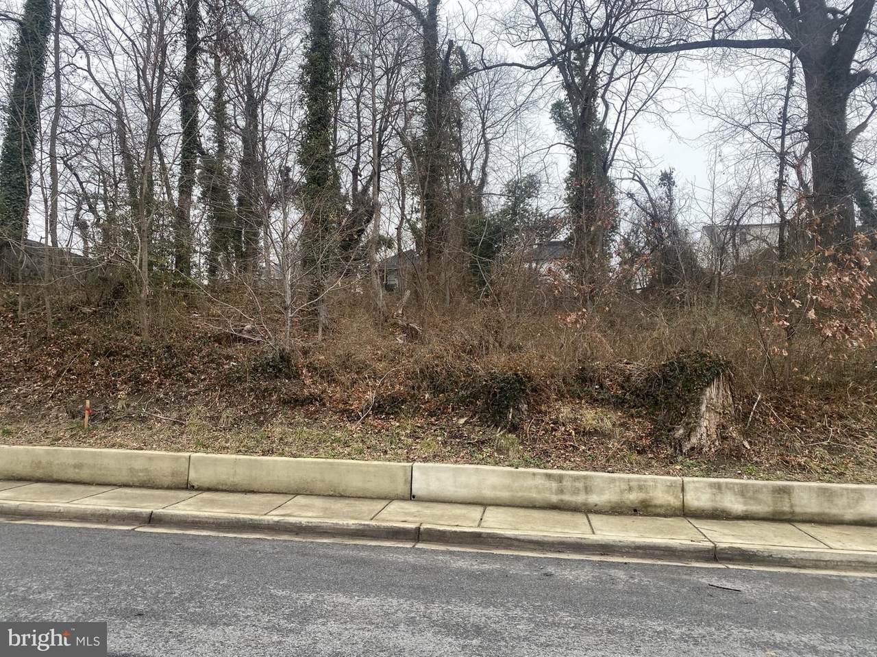 422 Nova Avenue - Photo 1