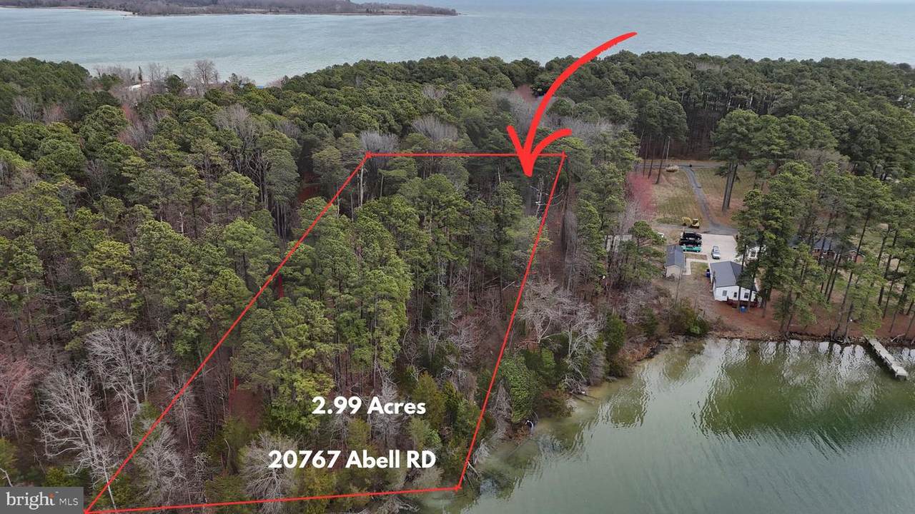 20767 Abell Road - Photo 1