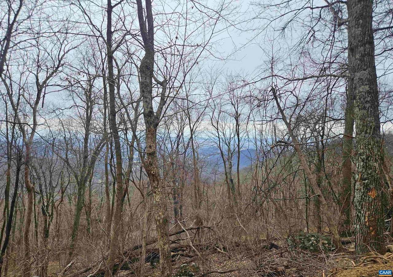 TBD Lot 17 & 18 Spring Branch Ln - Photo 1