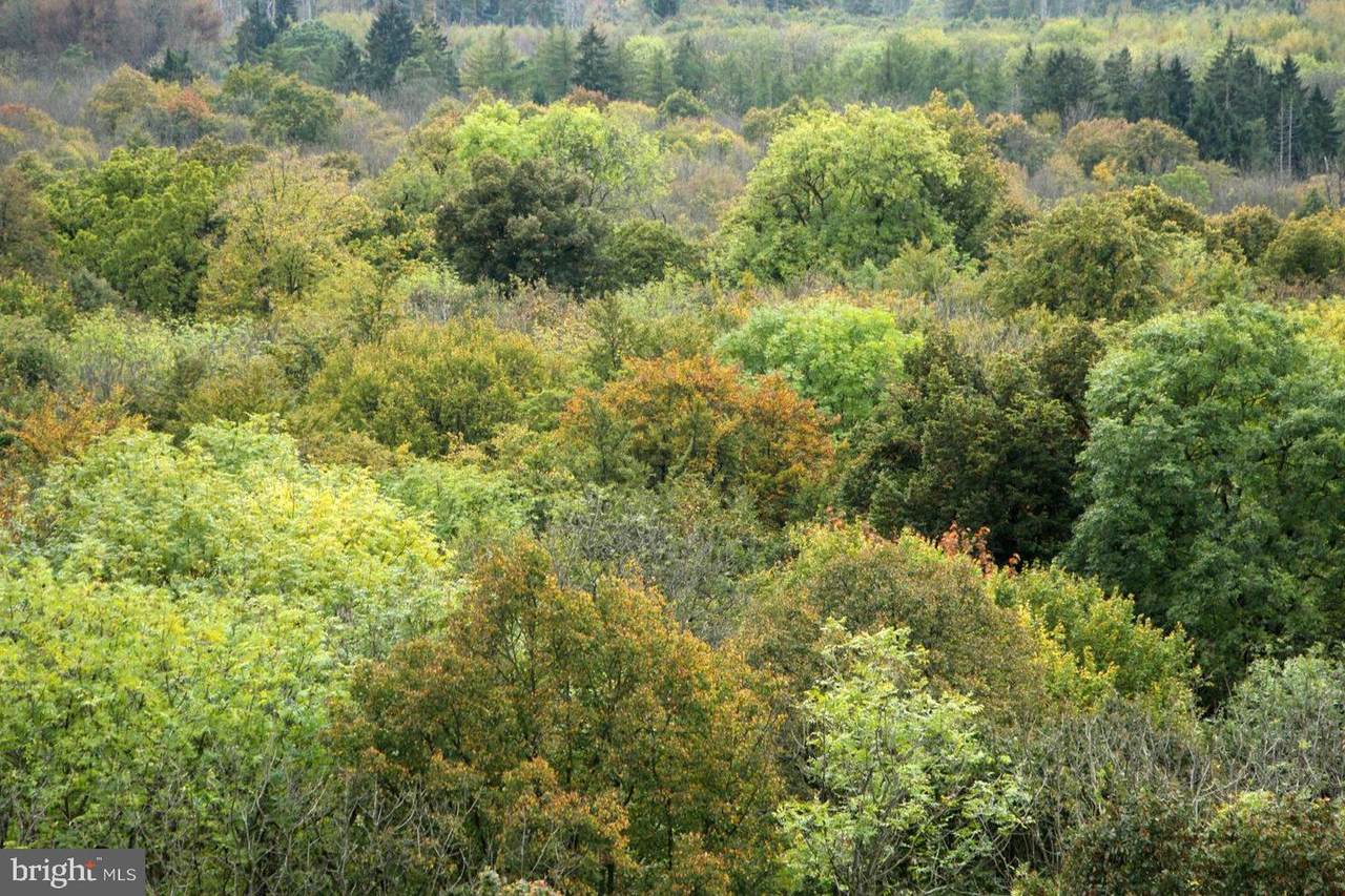  Brown Road - Photo 1
