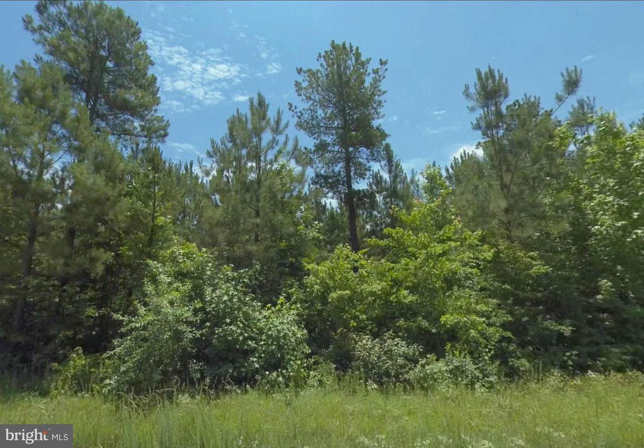 Lot 6 Dillard Rd - Photo 1