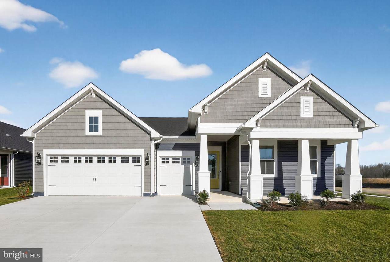29405 Jobes Street - Photo 1