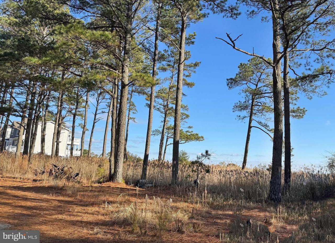 Lot 720 Castaway Drive - Photo 1