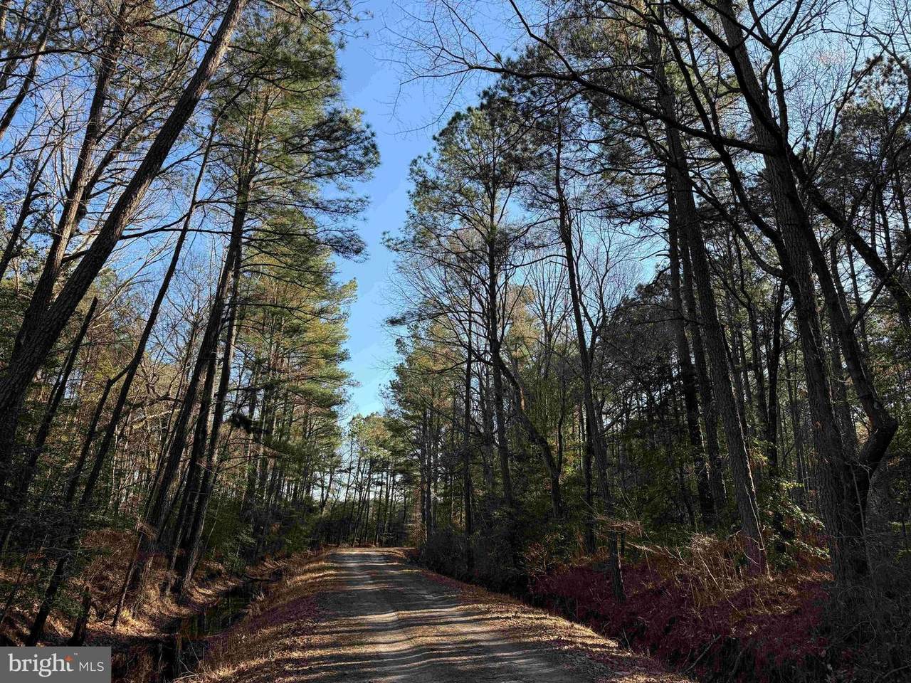  Off Rt. 14 (Tract Tanager Et2-2031) - Photo 1