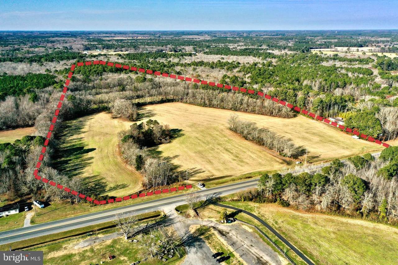 8847 Stephen Decatur Highway - Photo 1