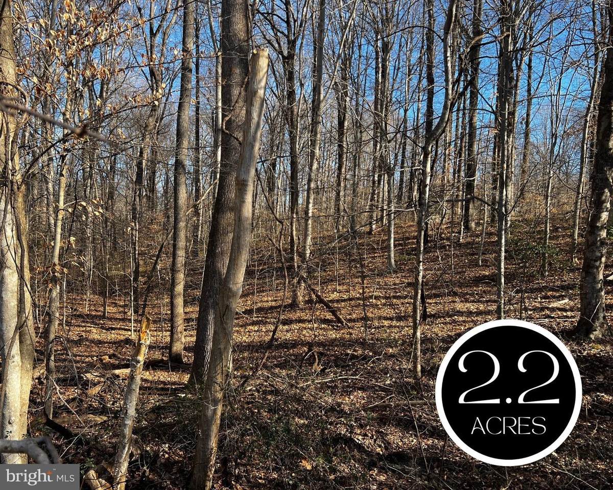6299 Mckendree Road - Photo 1