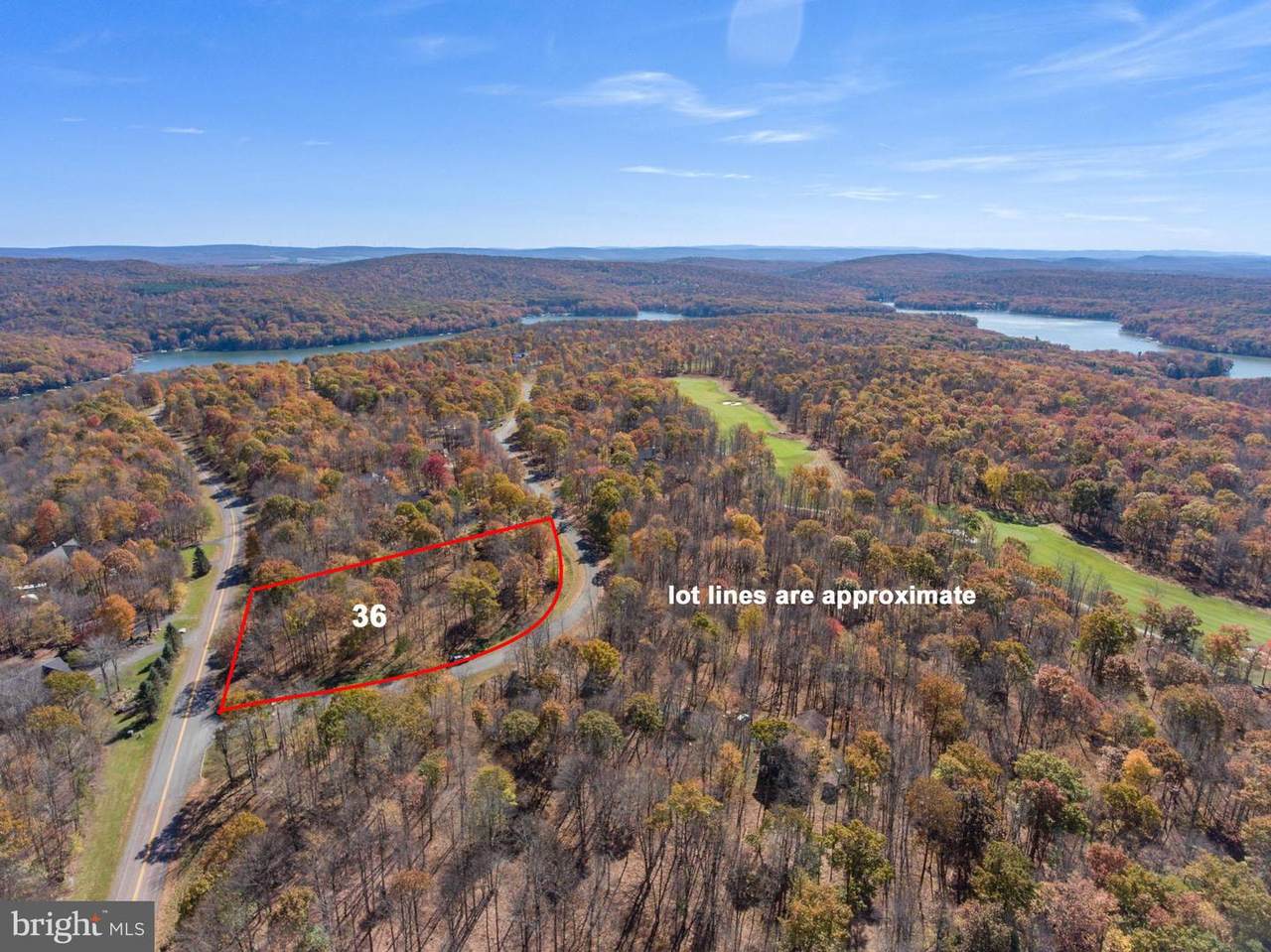 36 Fern Loop - Photo 1