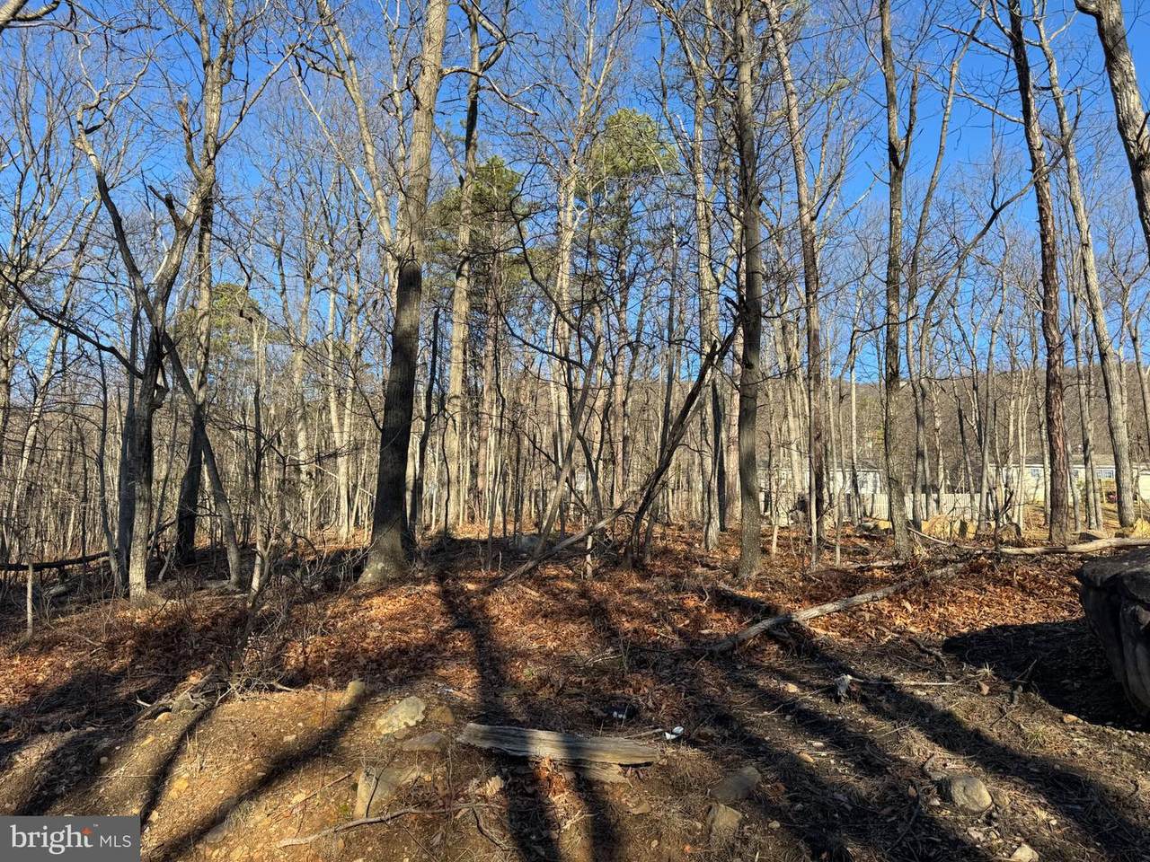 Lot 6 Quail Drive - Photo 1