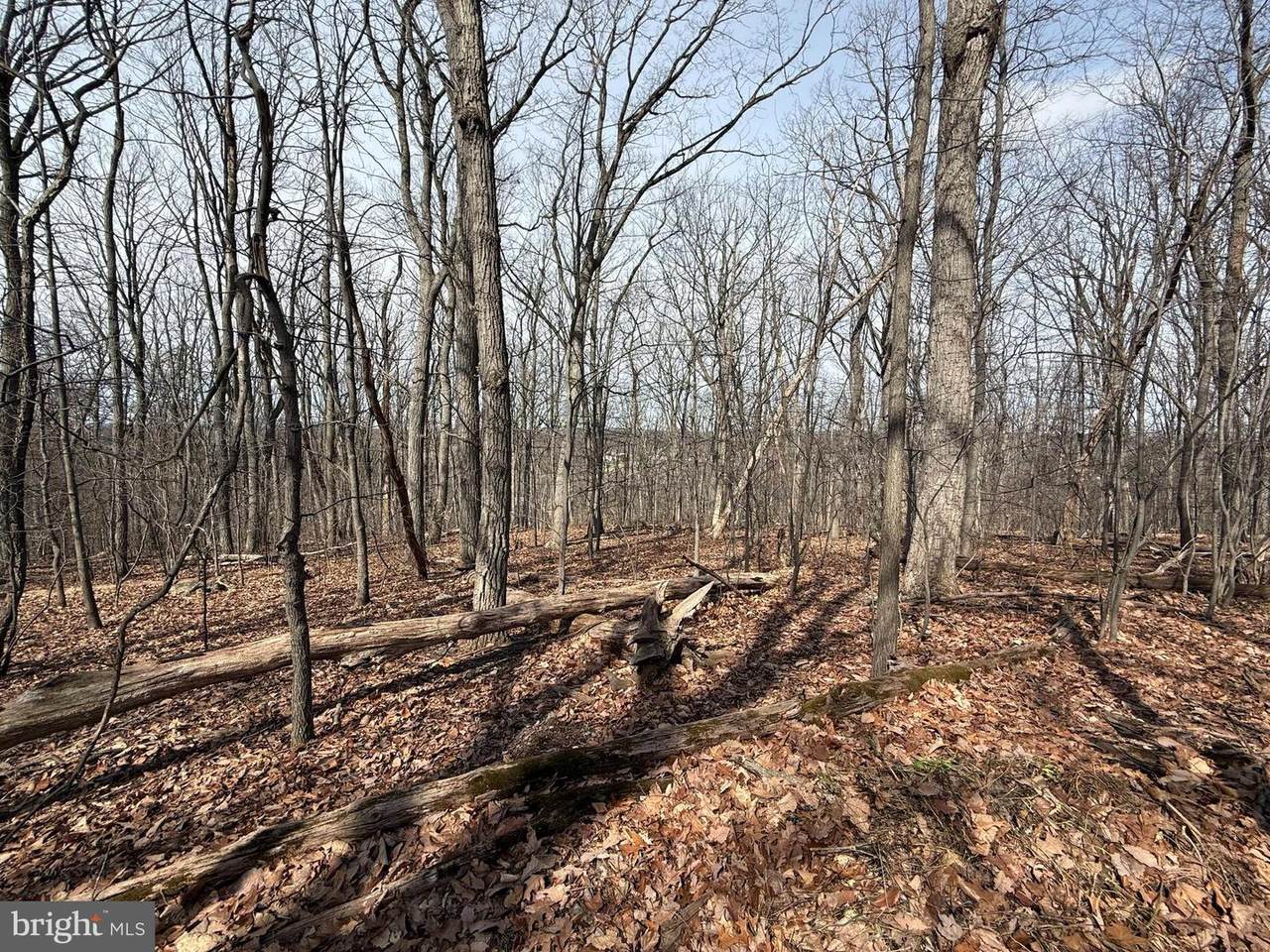 2849 Manchester Road - Photo 1