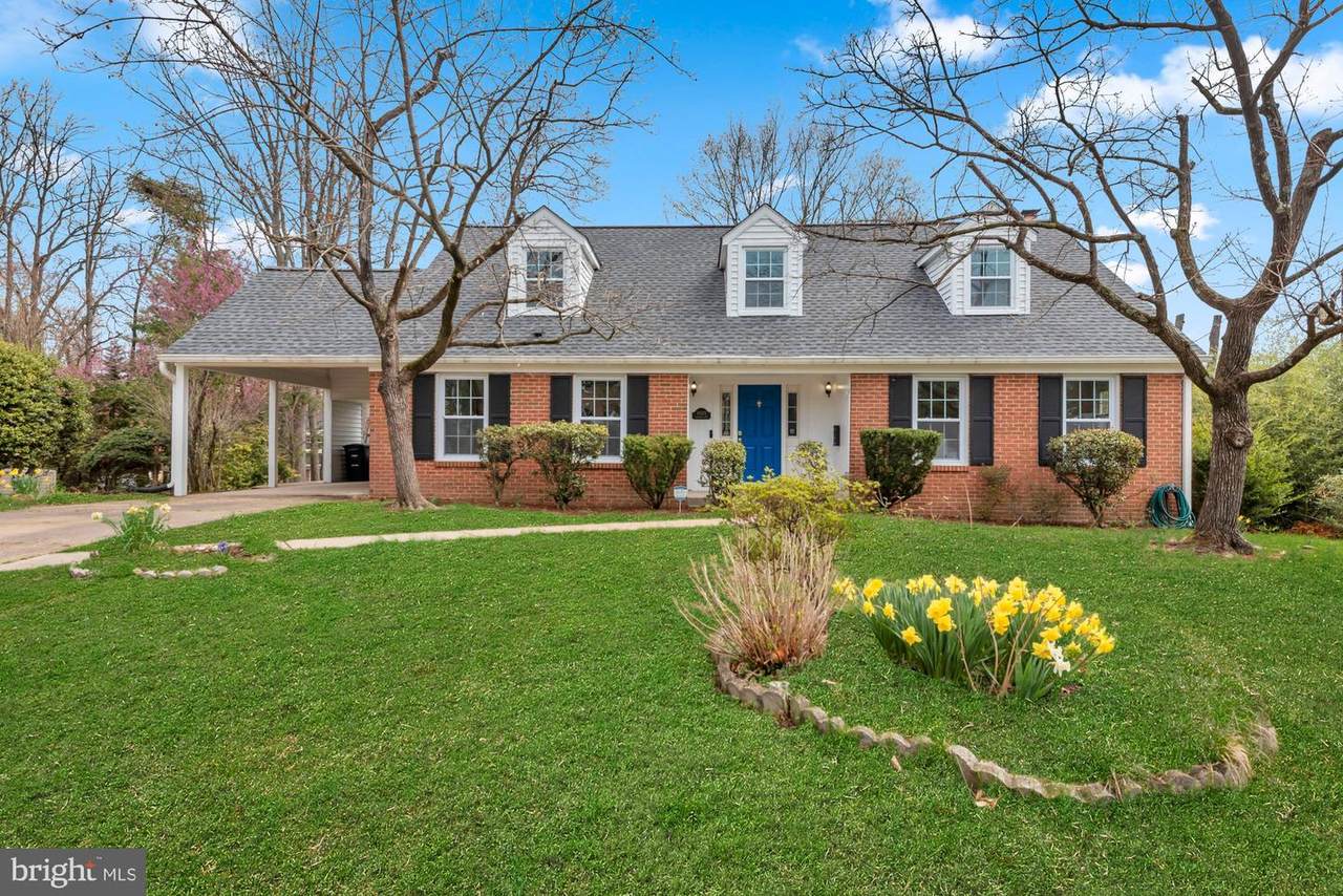 10115 Chickadee Lane - Photo 1