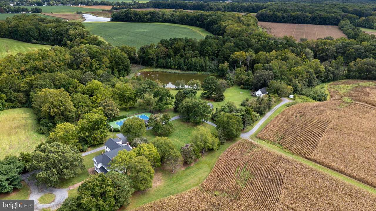 28923 Island Creek Road - Photo 1