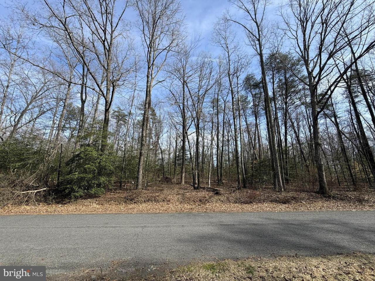 Lot 8A Park Ave - Photo 1