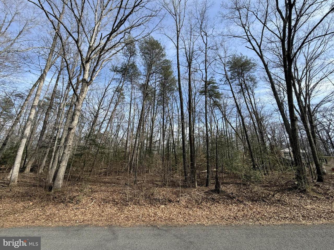Lot 9A Park Ave - Photo 1