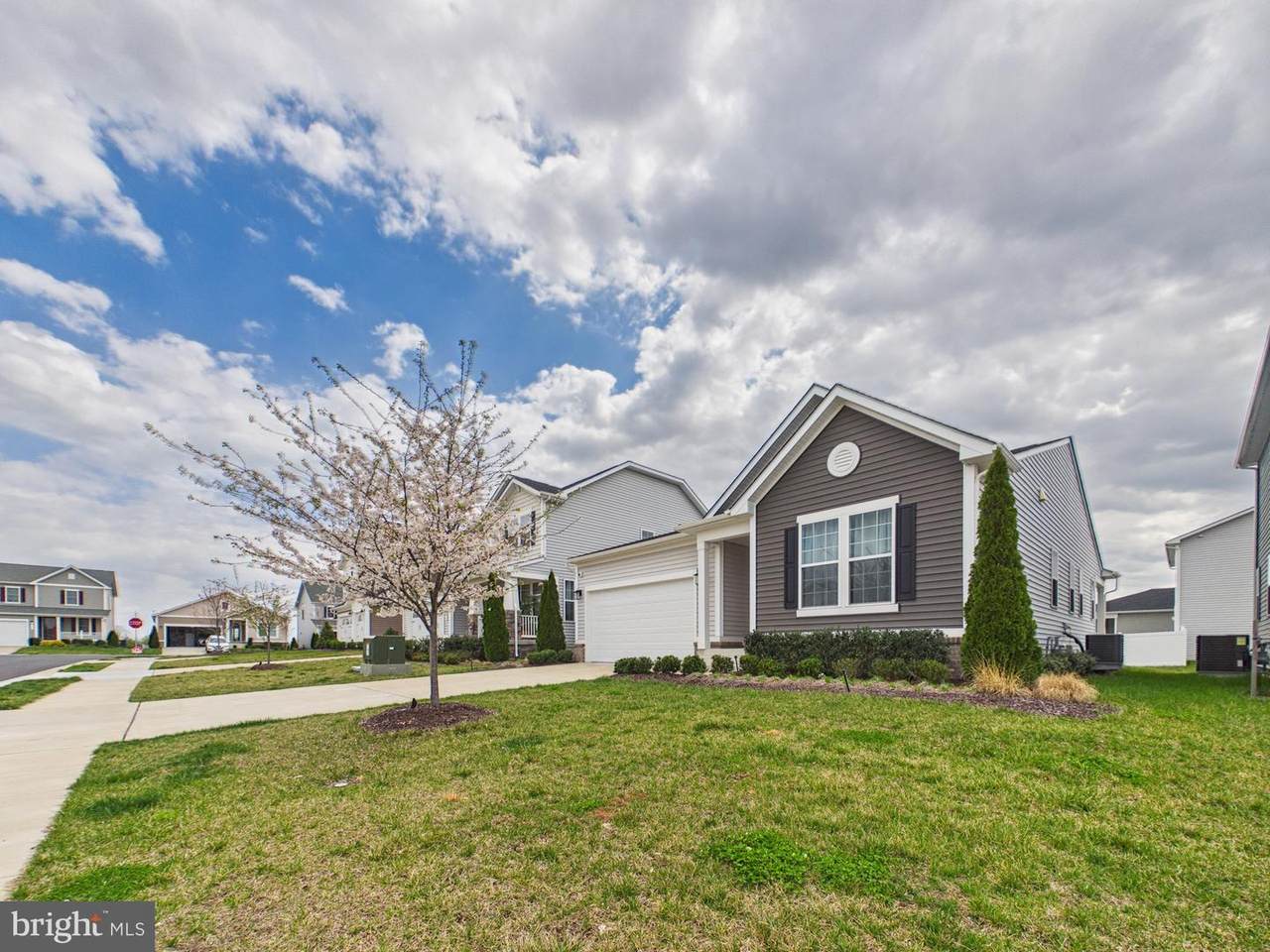 105 Lenore Lane - Photo 1