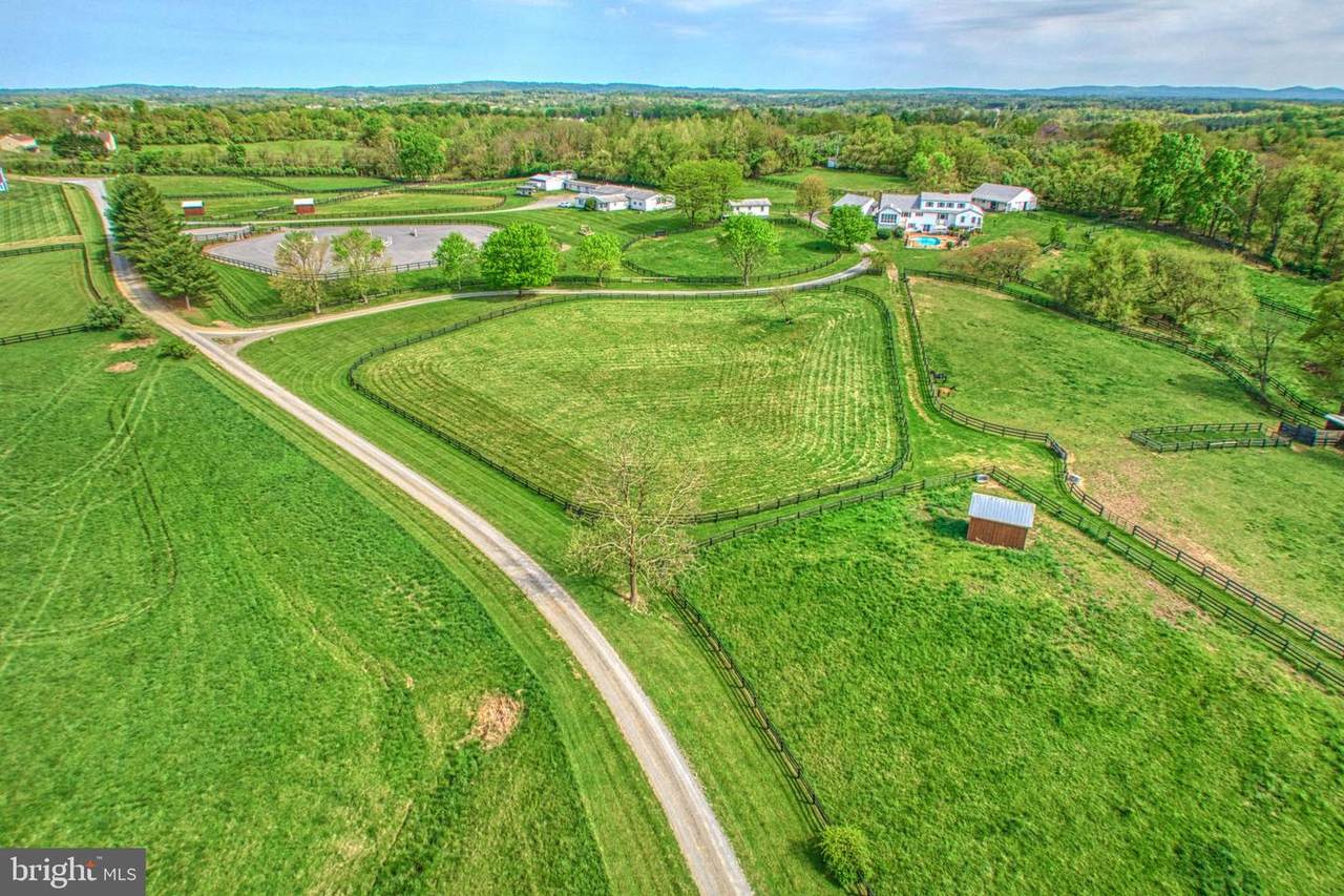 36181 Foxlore Farm Lane - Photo 1