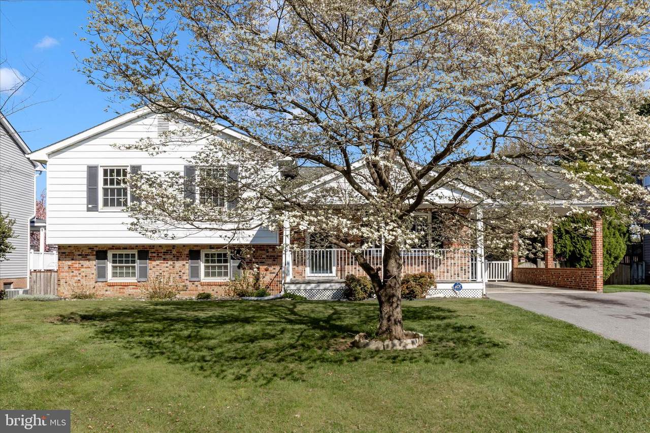 8211 Winter Snow Court - Photo 1