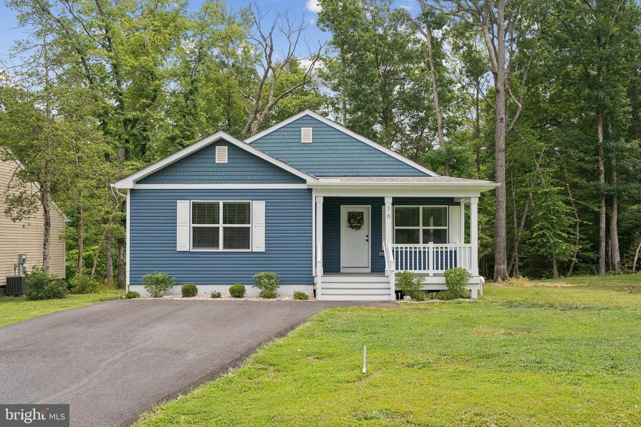 16 Placid Road - Photo 1