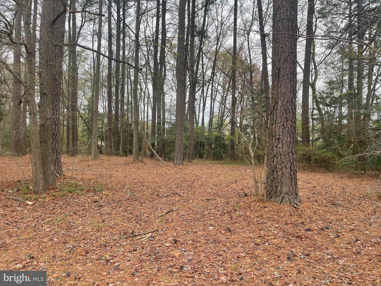 Lot 182 Weatherall Dr - Photo 1