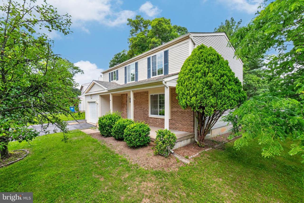 8113 Brucar Court - Photo 1