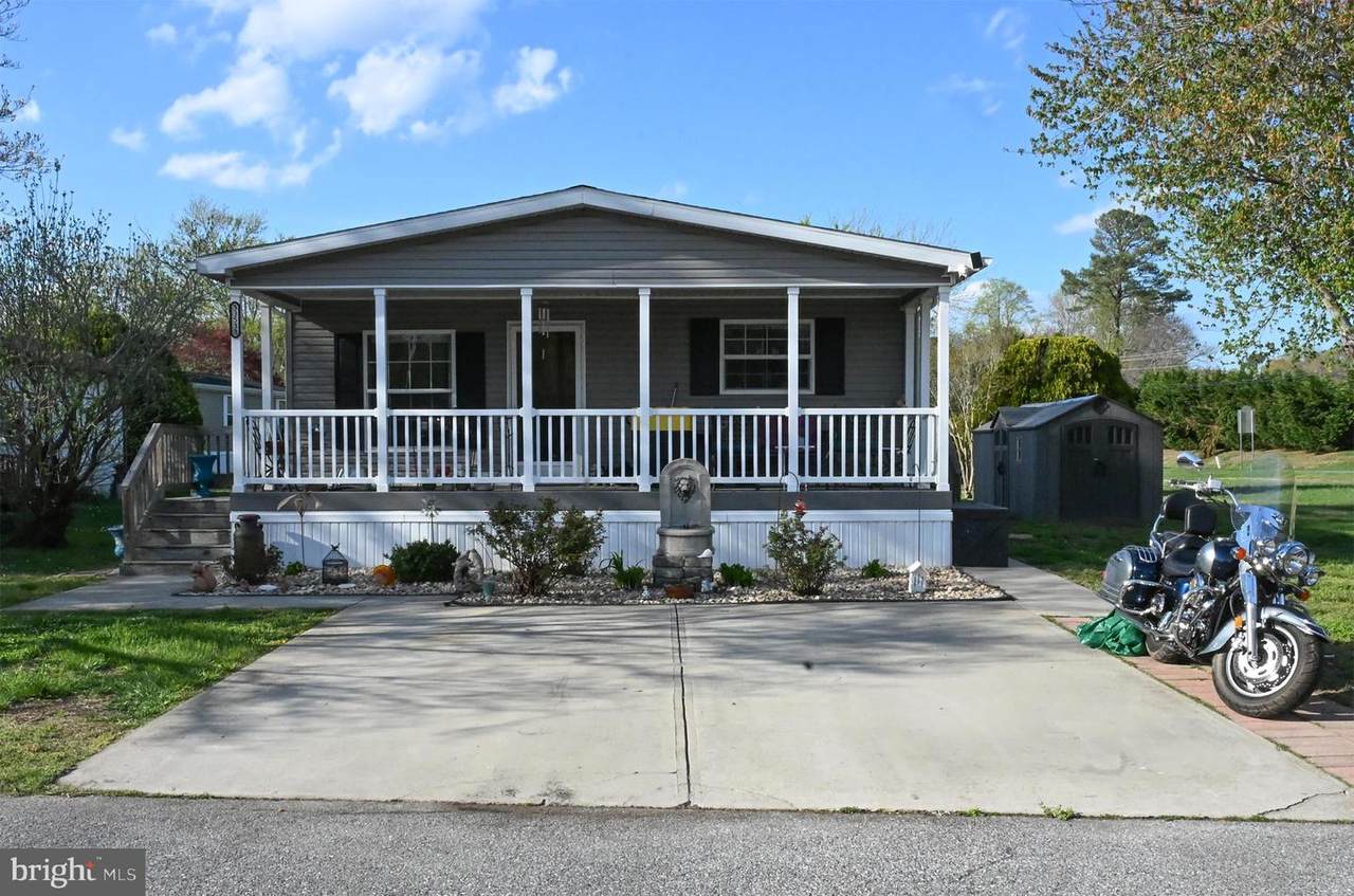 33533 Buttercup Street - Photo 1