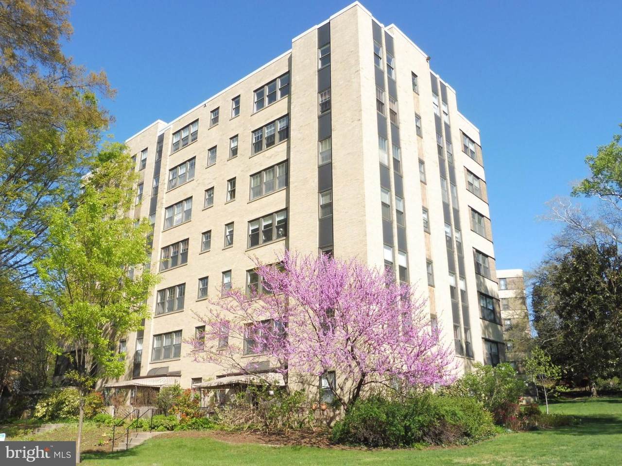 3901 Cathedral Avenue - Photo 1