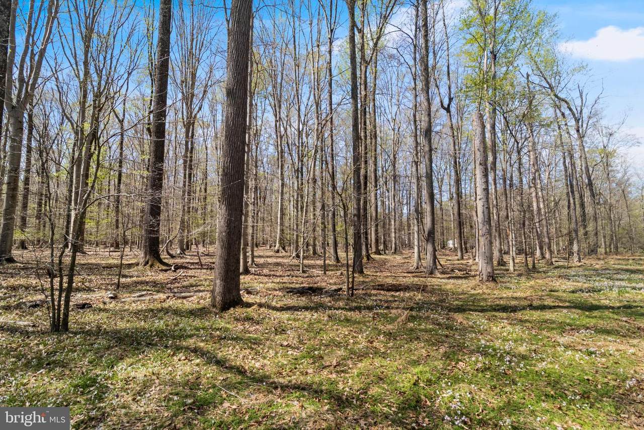 Lot 14 Billingsley Road - Photo 1