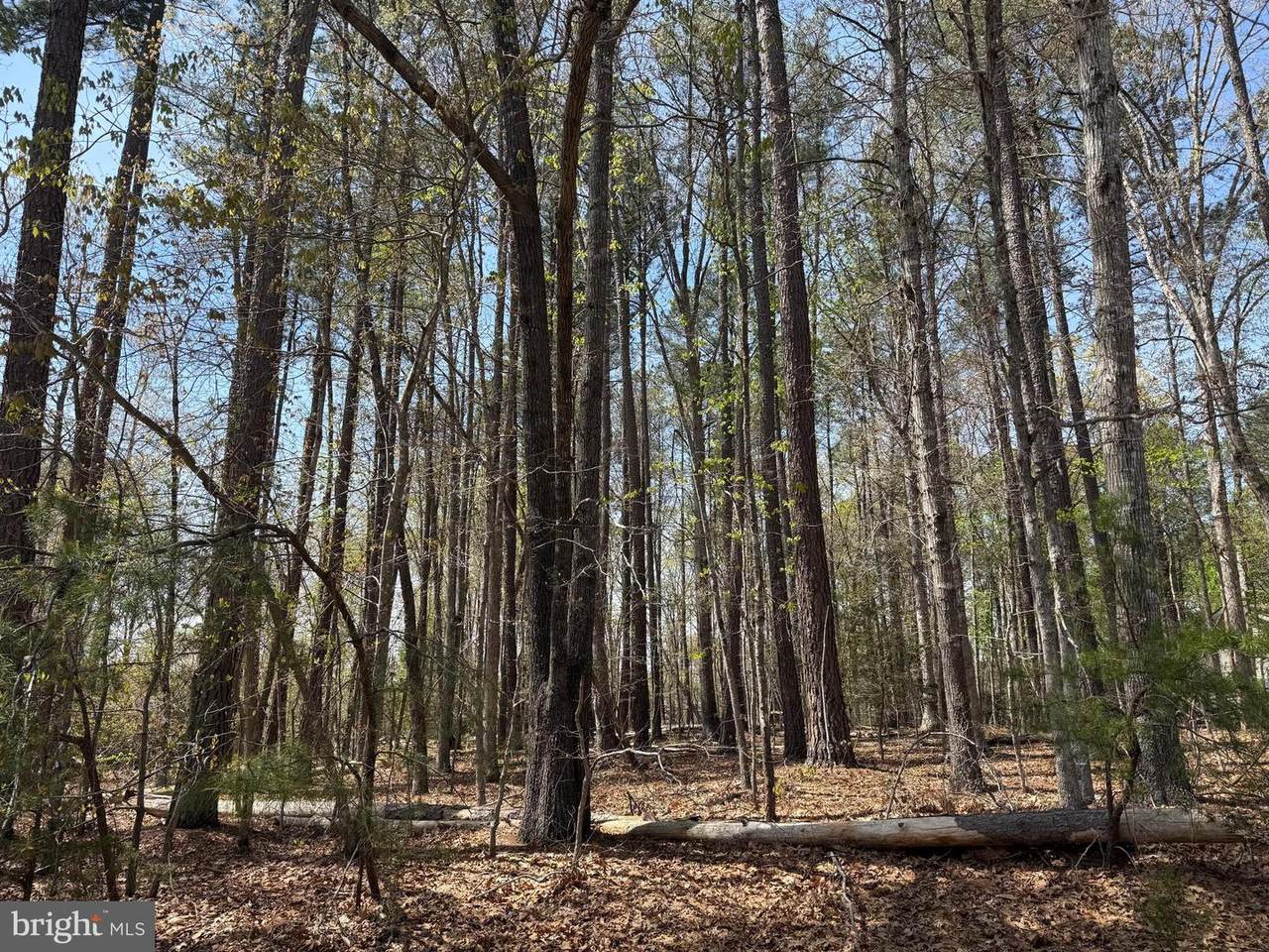  Windwood Coves Blvd - Photo 1