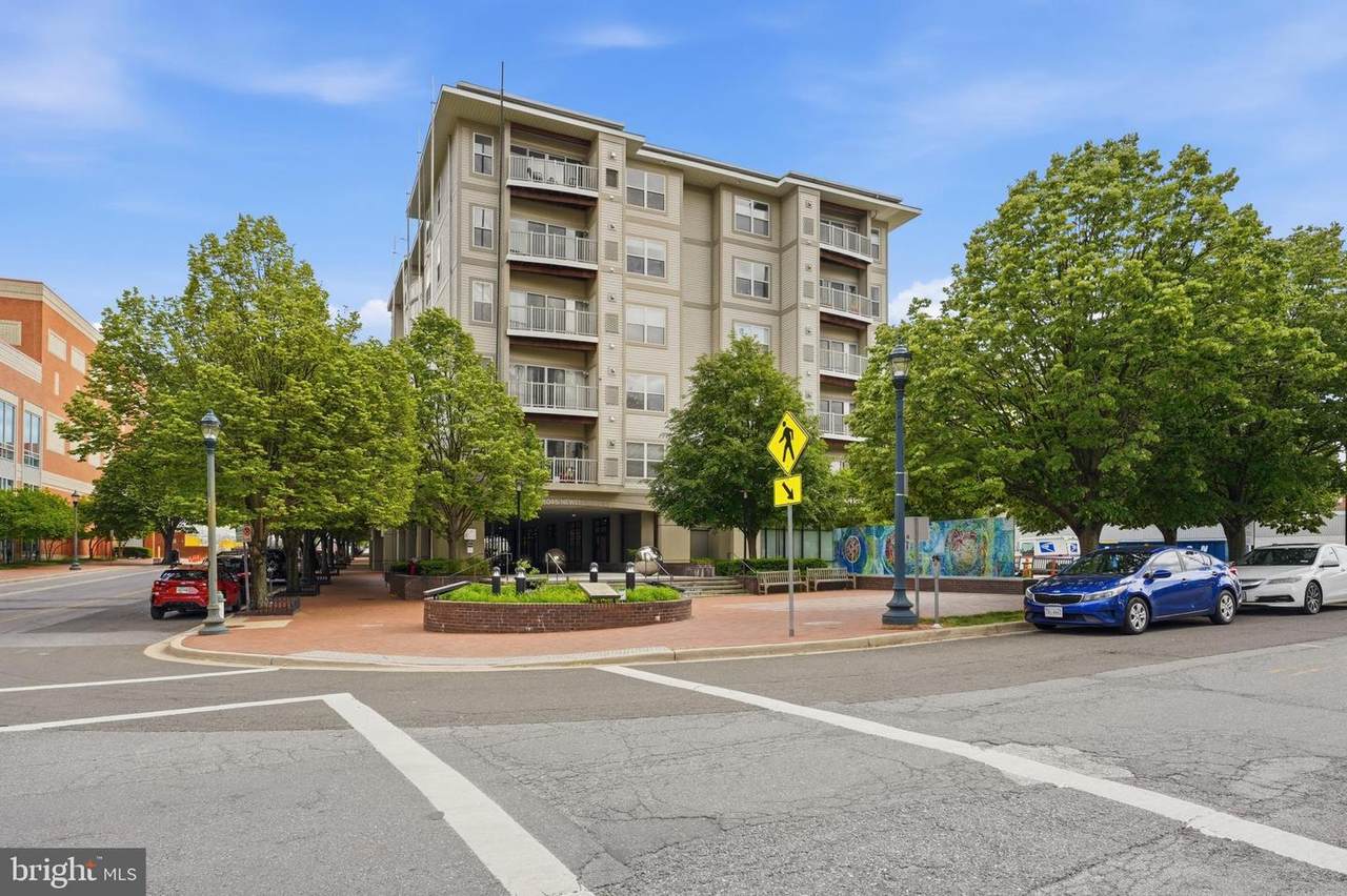 8045 Newell Street - Photo 1