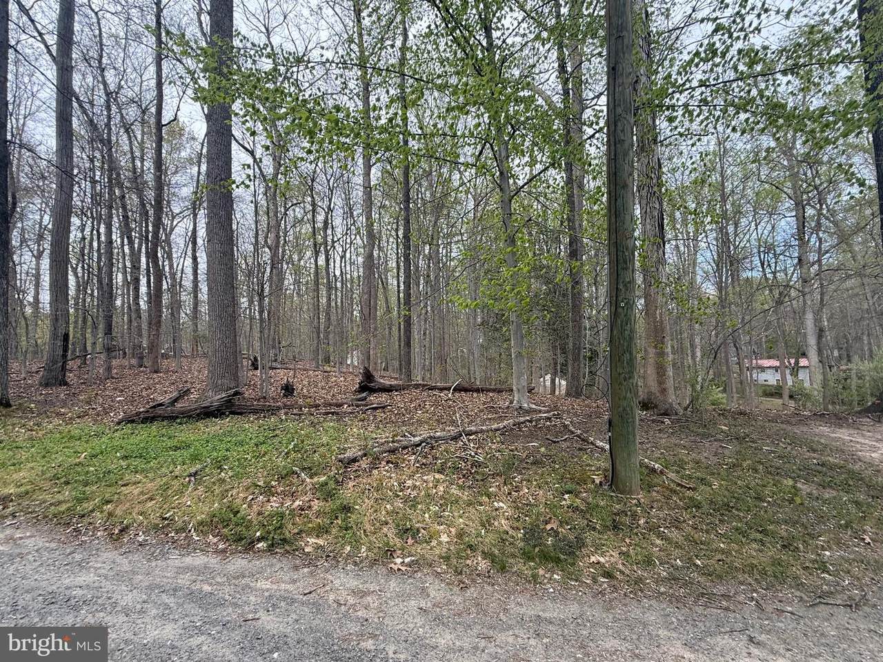 11473 Harton Street - Photo 1