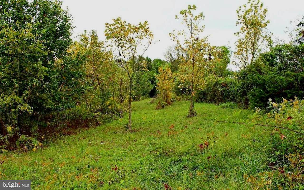  Cedar Lane - Photo 1