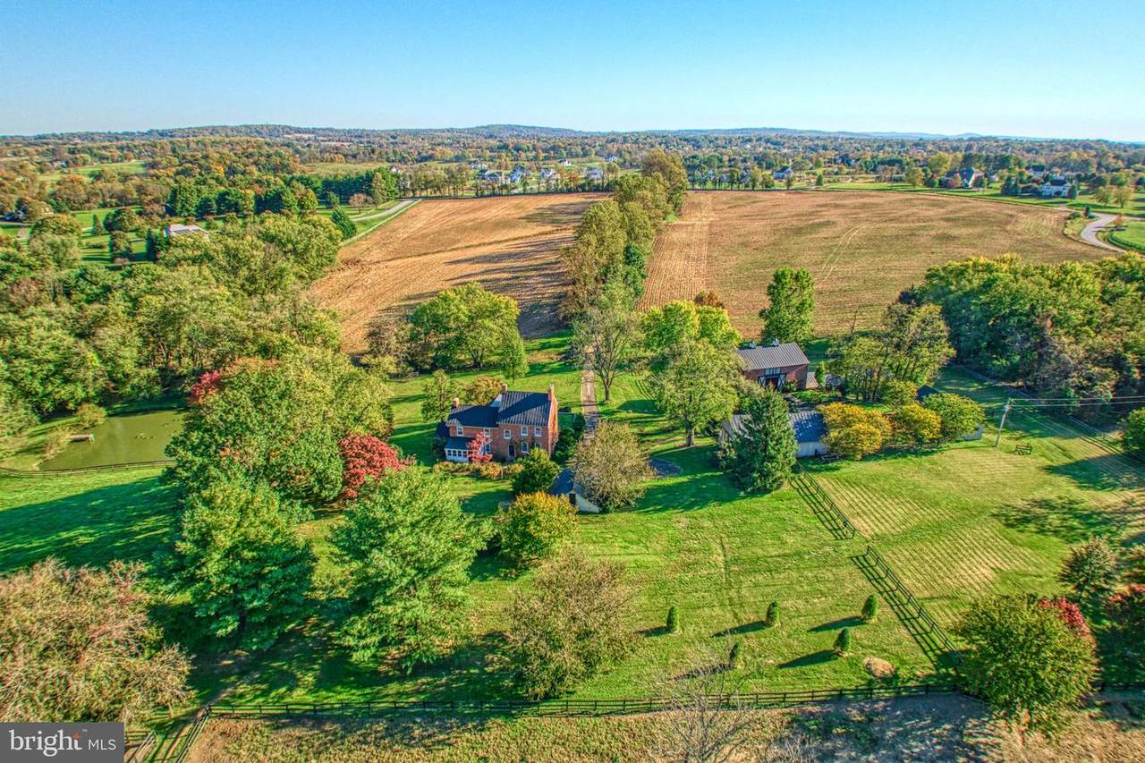 38678 Piggott Bottom Road - Photo 1