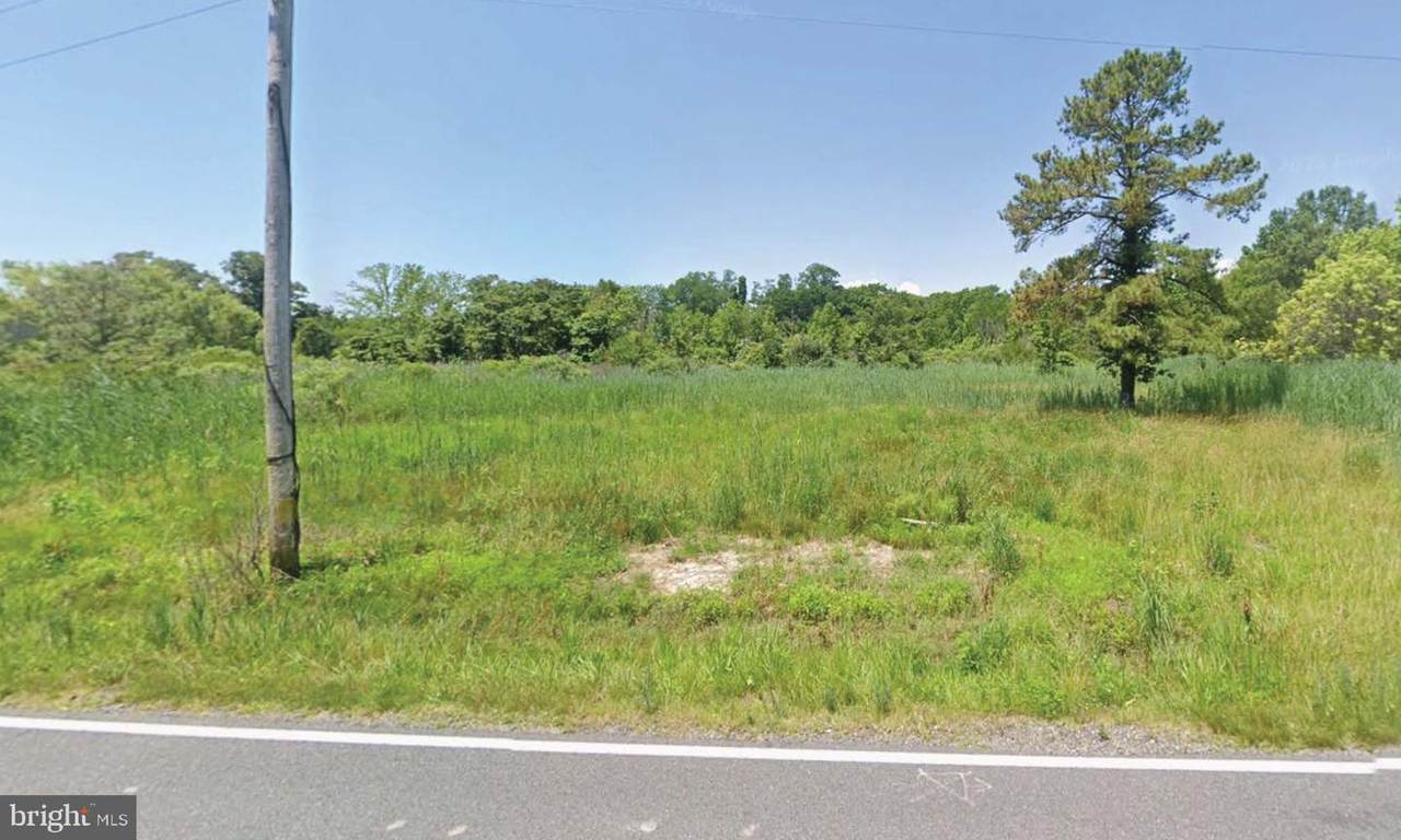 5120 Eastern Neck Road - Photo 1