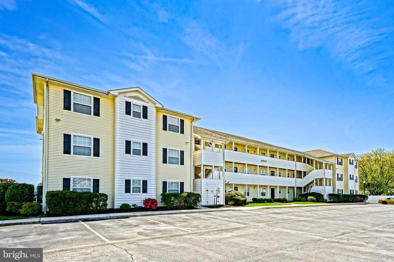 36507 Palm Drive - Photo 1