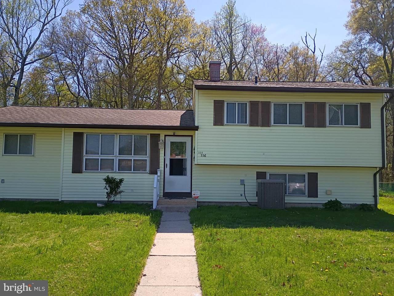 236 University Avenue - Photo 1